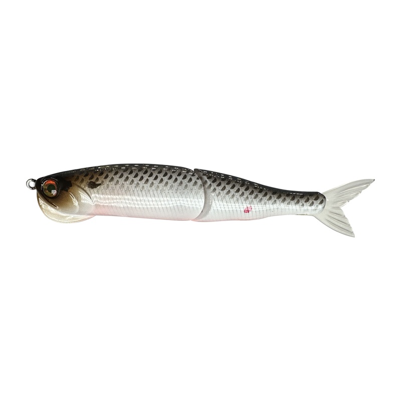 5.5 Sea Drive Clone (Sale)|Gizzard Shad