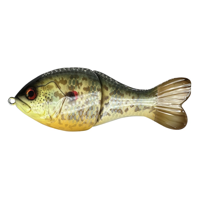 5 Phat Shad Swim Bait|Red Ear Sun Fish / Shell Cracker|Blue Gill|Myan Cichlid|Crappie|Perch|Baby Bass|Gizzard Shad|Threadfin|Golden Shiner|Custom Paint Job!|No Effects|Bleeding Gills|Dirty Belly|Holographic Foil (+25)|Metal Foil (+25)