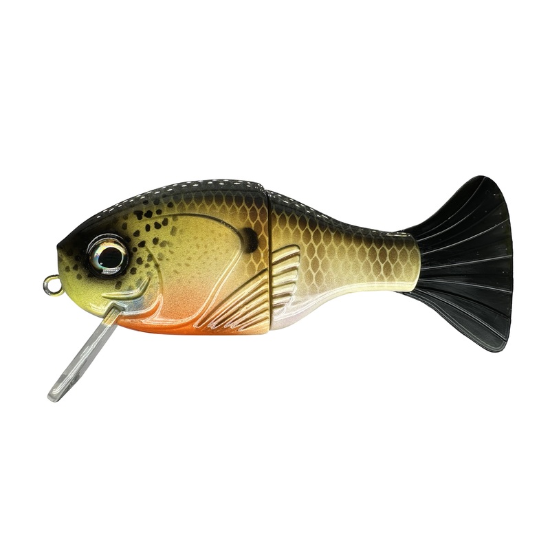 5 ShoGun Wake Bait (Sale)|Natural Gill|Custom Paint Job!