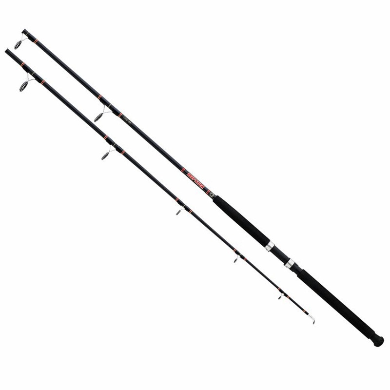 Daiwa Beefstick Surf 7Ft-9Ft Spinning Rod