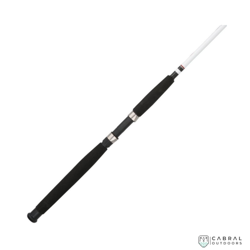Berkley Big Game 7ft-8ft Spinning Rod